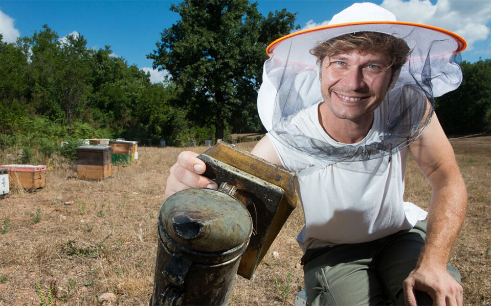 μέλι-ελάτης-βανίλια-ότι-χρειάζεται-να-561978868