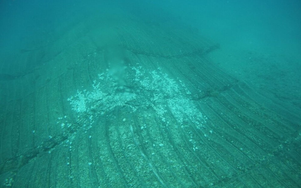 περιφέρεια-αττικής-κρούσμα-δολιοφθο-561968770