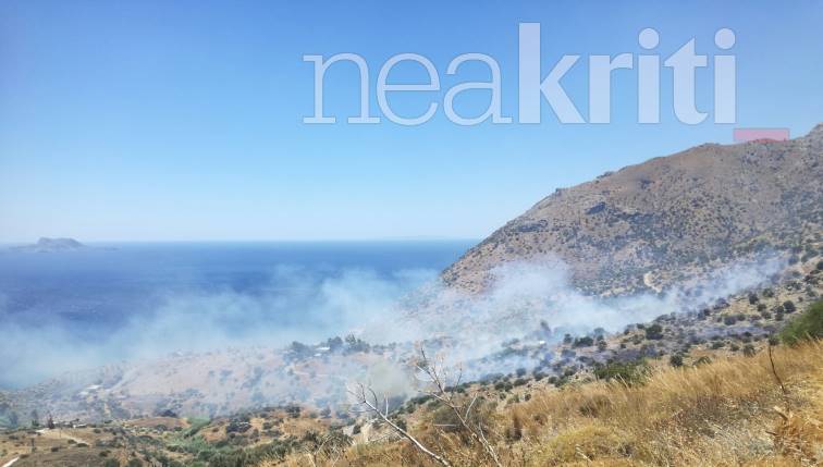 Φωτιά στο Ρέθυμνο: Αναζωπύρωση στον Άγιο Βασίλειο – Εκκενώθηκαν κατοικίες-3