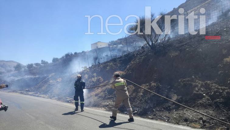 Φωτιά στο Ρέθυμνο: Αναζωπύρωση στον Άγιο Βασίλειο – Εκκενώθηκαν κατοικίες-2