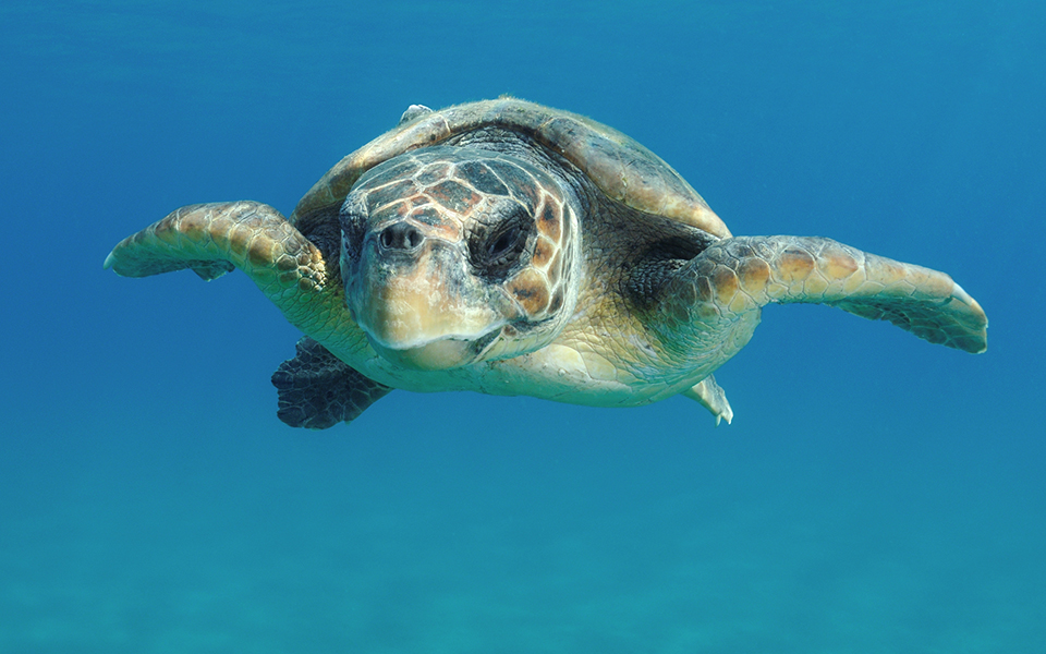 Διαβάστε στην «Καθημερινή της Κυριακής»-4
