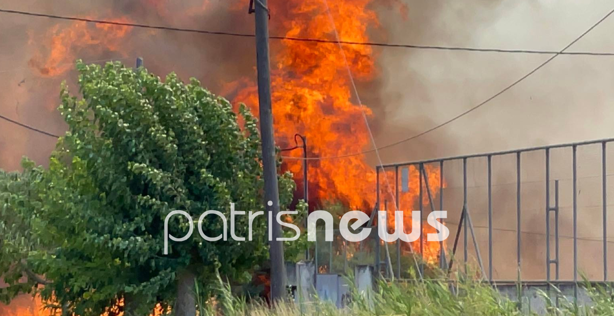 Πυρκαγιές στη Σπιάντζα Ηλείας και στη Βρυσούλα Πρέβεζας-3