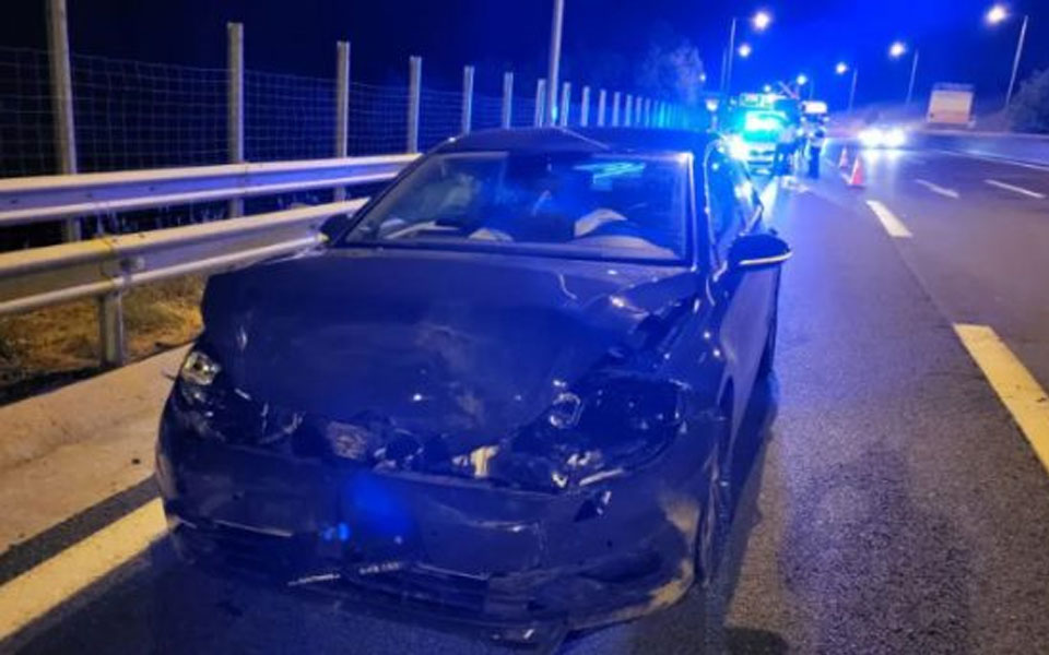 κοζάνη-αρκούδα-συγκρούστηκε-με-αυτοκ-561976789