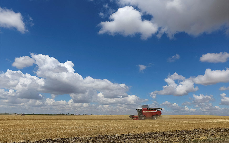 επισιτιστική-κρίση-η-συμφωνία-για-τα-σ-561975994