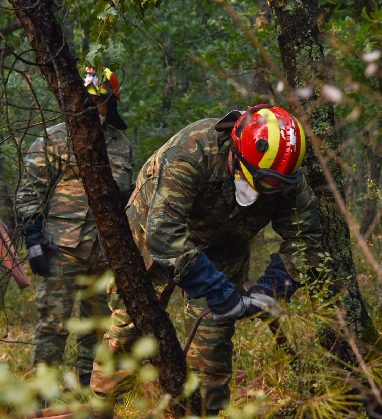 Μάχη σε πολλά πύρινα μέτωπα: Τιτάνιες προσπάθειες στο δάσος της Δαδιάς, κάηκαν σπίτια στη Λέσβο – Φωτιά και στη Μεσσηνία-2