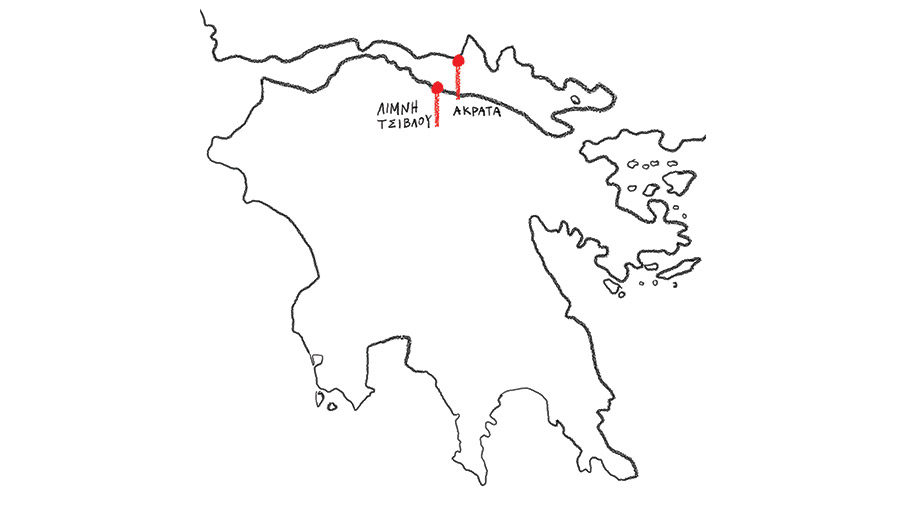 Τσουκαρέλα, Ρόσα και Τζίνα μιλούν για τον καρχαρία Μπρους και τον χιμπατζή Μπαζού στη λίμνη Τσιβλού-4