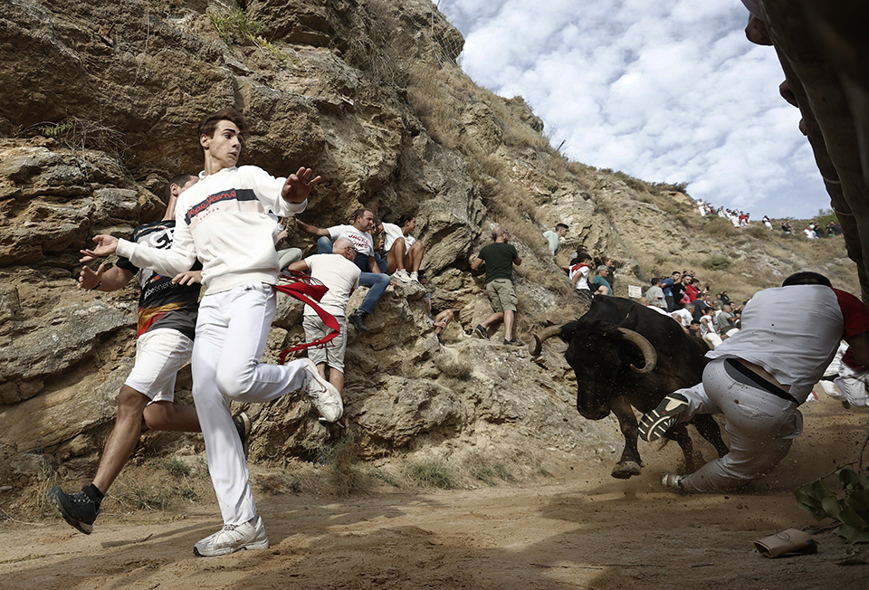 και-πάλι-ταύροι-562008502