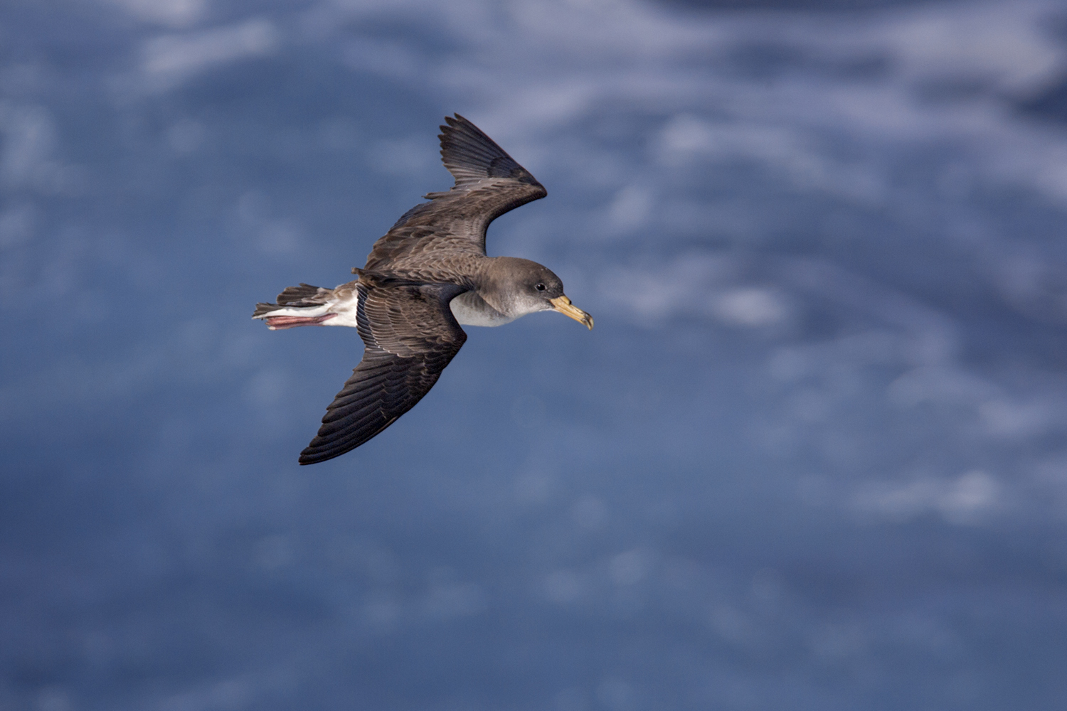 Οι άγνωστες καλλονές των Εχινάδων Νήσων σ’ ένα φωτογραφικό λεύκωμα-2