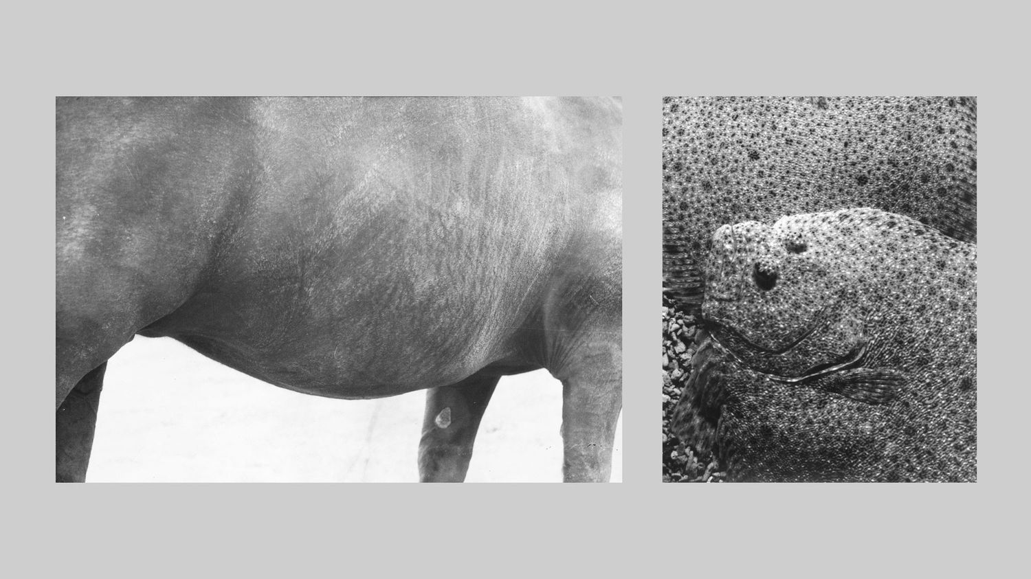 ενας-βιολόγος-φωτογραφίζει-562001503