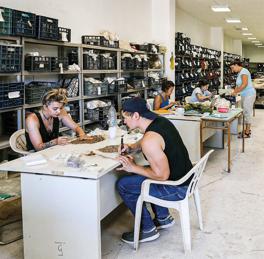 Ίκλαινα: Οι «Μυκήνες» της Μεσσηνίας έρχονται στο φως-8