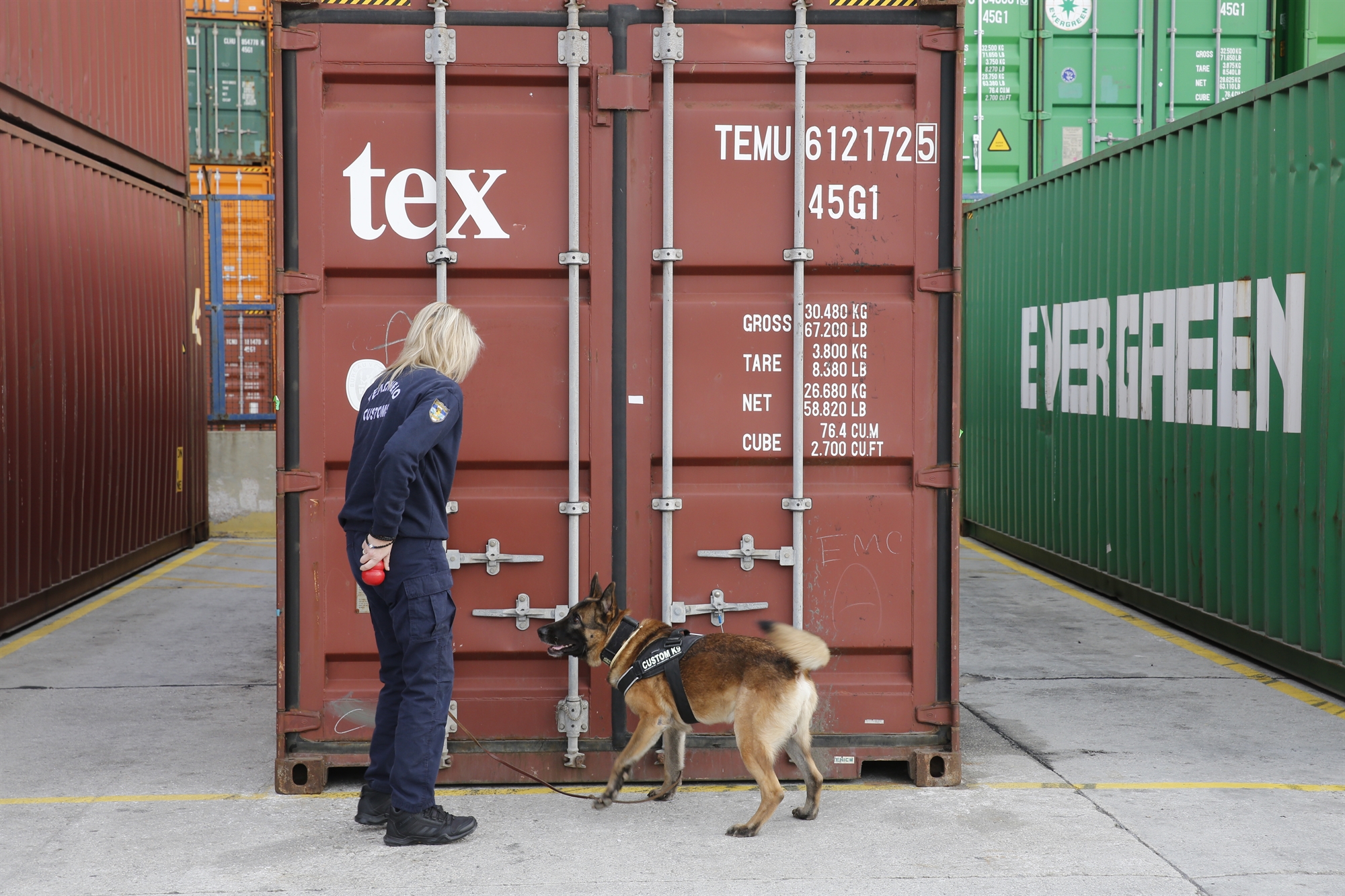 η-λερναία-υδρα-των-λαθραίων-τσιγάρω-561987301