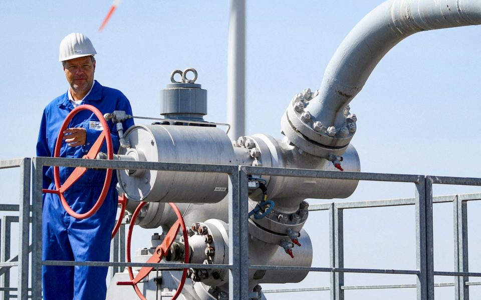 έρευνα-ανάλυση-χαμένη-η-μόσχα-κερδι-562014067