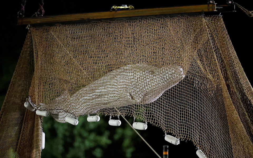 γαλλία-ξεκίνησε-η-επιχείρηση-απομάκρ-561994489