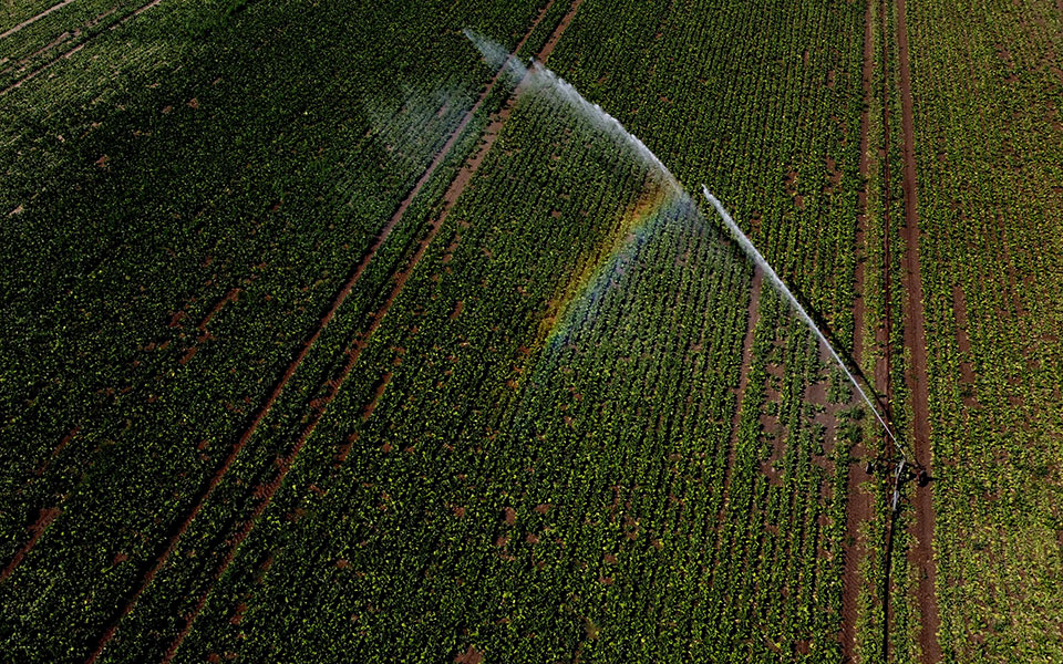 Η Βρετανία κήρυξε κατάσταση ξηρασίας – Στέρεψε η πηγή του Τάμεση, απαγορεύτηκε το πότισμα-4