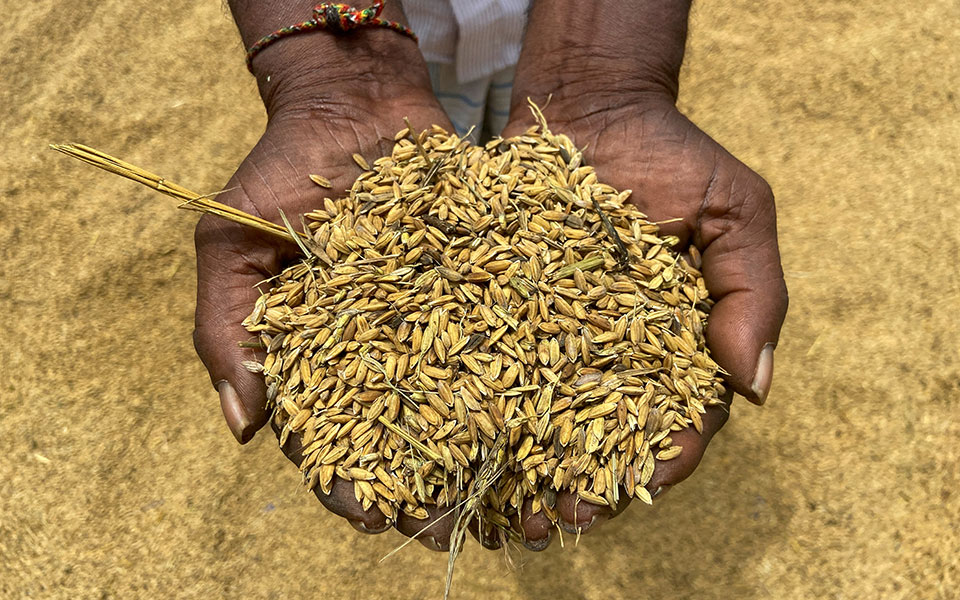 φόβοι-για-επιδείνωση-της-επισιτιστικ-562000618