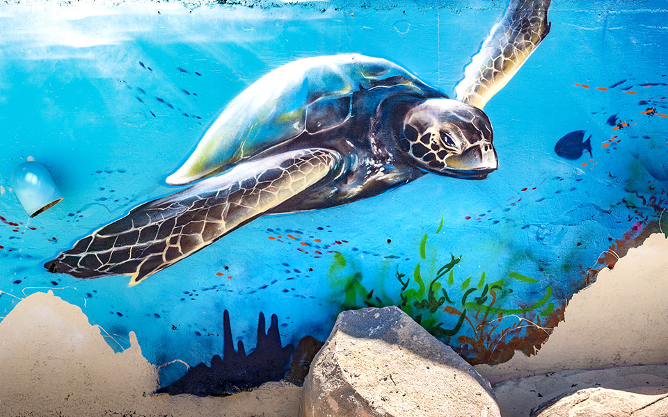 η-θάλασσα-εμπνέει-και-τη-street-art-562017301