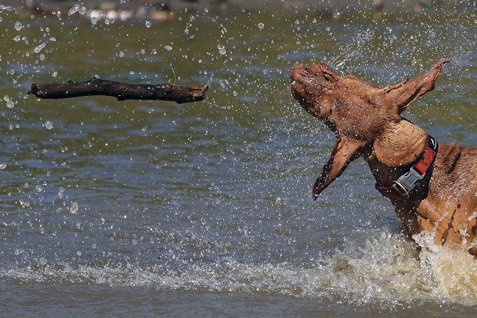 Δεν λέει να τελειώσει