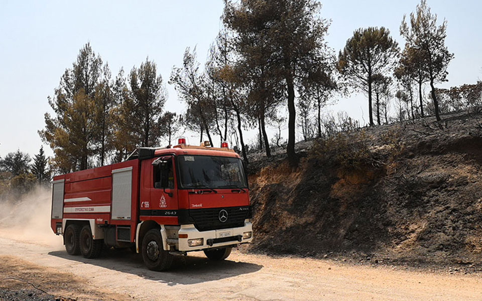 λαμία-μάχη-με-τις-φλόγες-στην-περιοχή-σ-562004968
