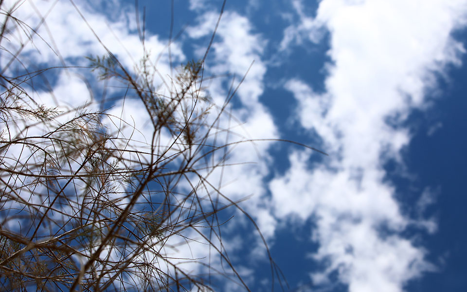 καιρός-υψηλές-θερμοκρασίες-αλλά-και-κ-562006681