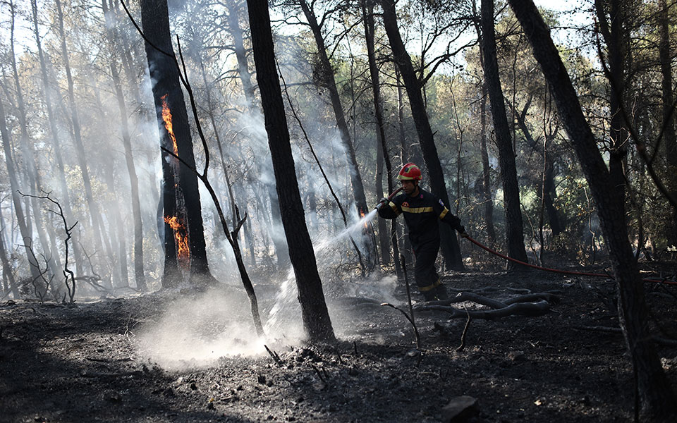 φωτιά-τώρα-στα-κύθηρα-562011334