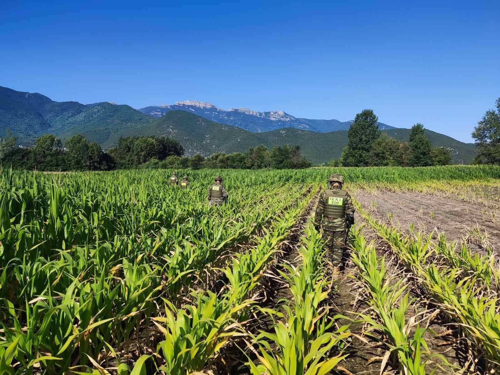 Πτώση Antonov στην Καβάλα: Τι έδειξαν οι μετρήσεις για επικίνδυνες ουσίες-1