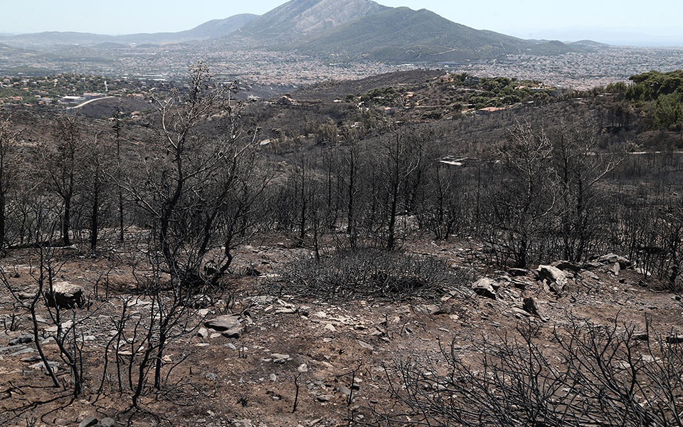 arogi-gov-gr-ανοίγει-η-πλατφόρμα-για-τους-πληγέν-562005079