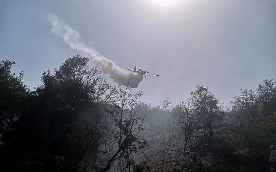 λαμία-οριοθετήθηκε-η-φωτιά-στην-περιο-562005049
