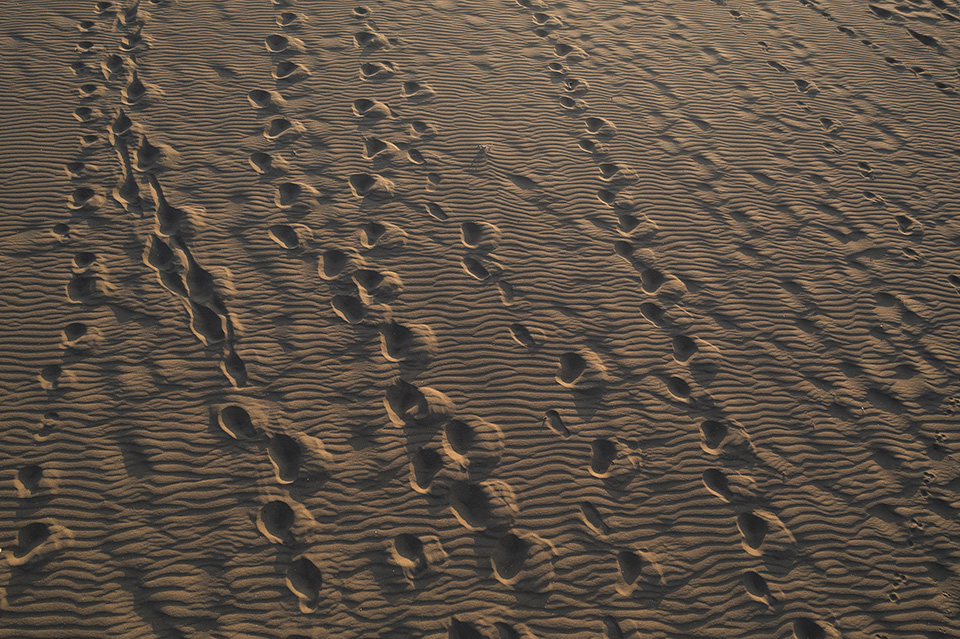 Οταν οι αμμοθίνες σε προδίδουν