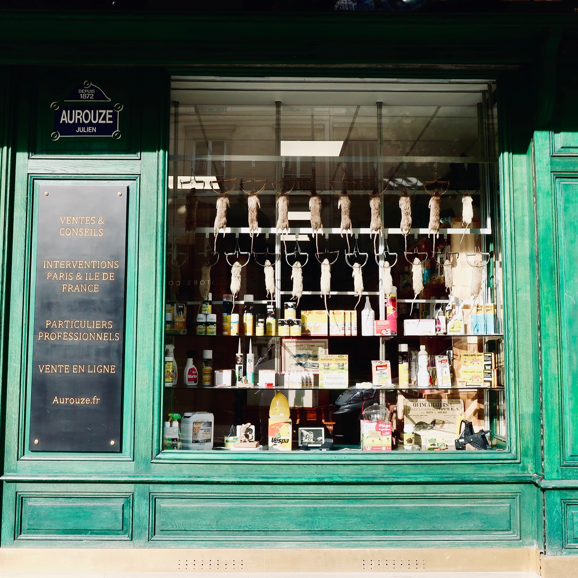 ενάμισης-ποντικός-ανά-κάτοικο-562011991