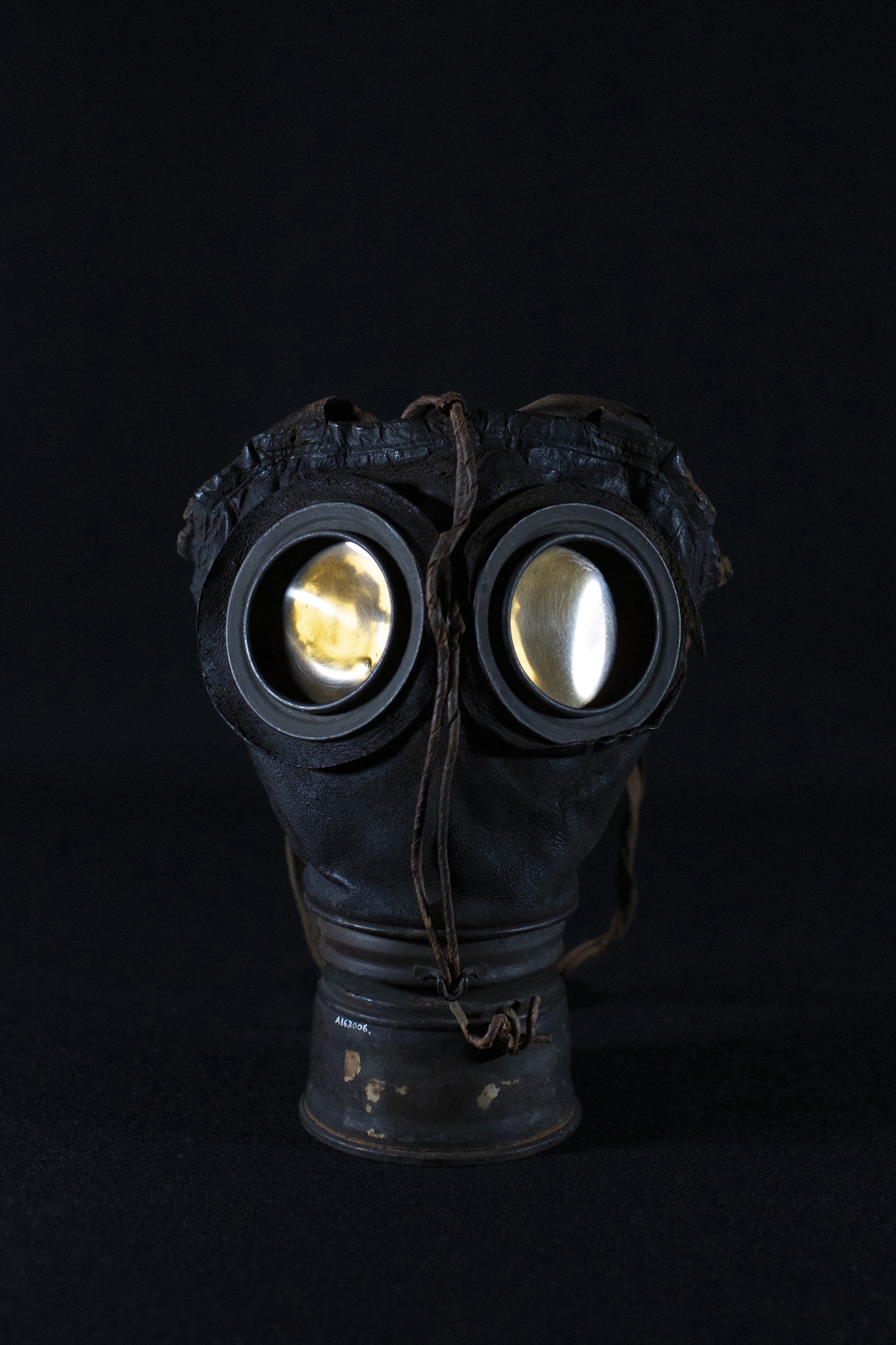 Δεινόσαυρος με καρκίνο και χειρουργείο χωρίς αναισθησία-1