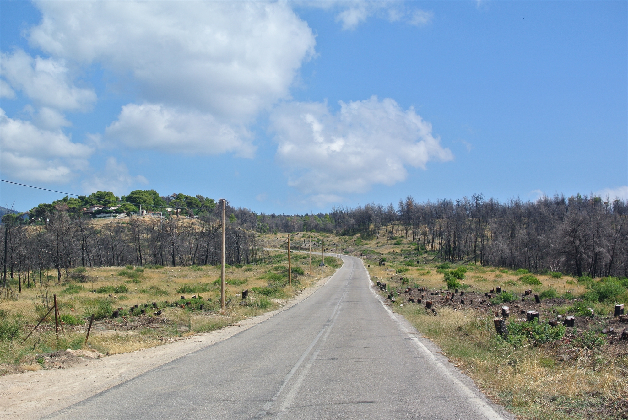 Αυτοψία στο Τατόι ένα χρόνο μετά τη φωτιά-1
