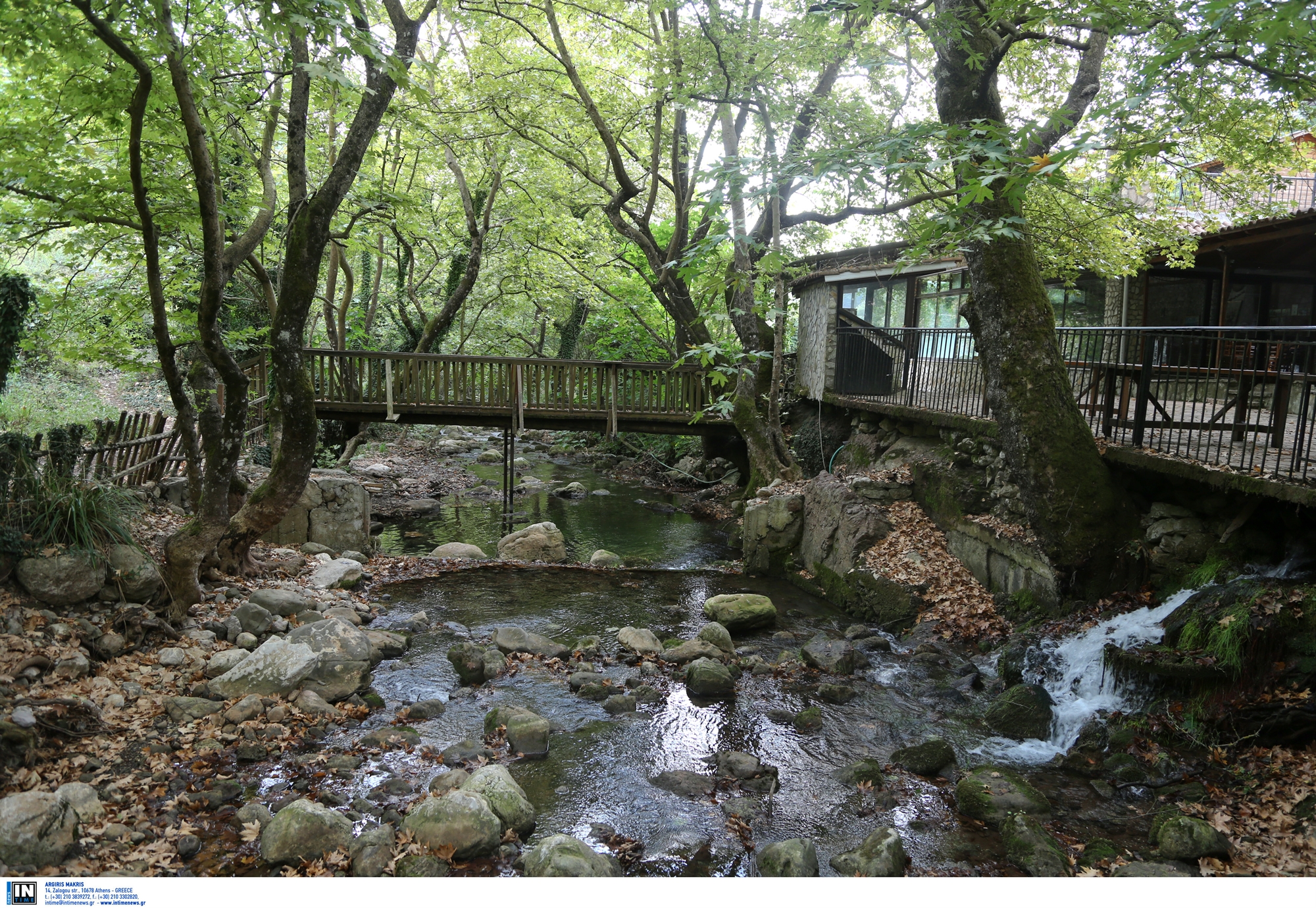 τέμπη-όταν-πεθαίνουν-τα-πλατάνια-561996982