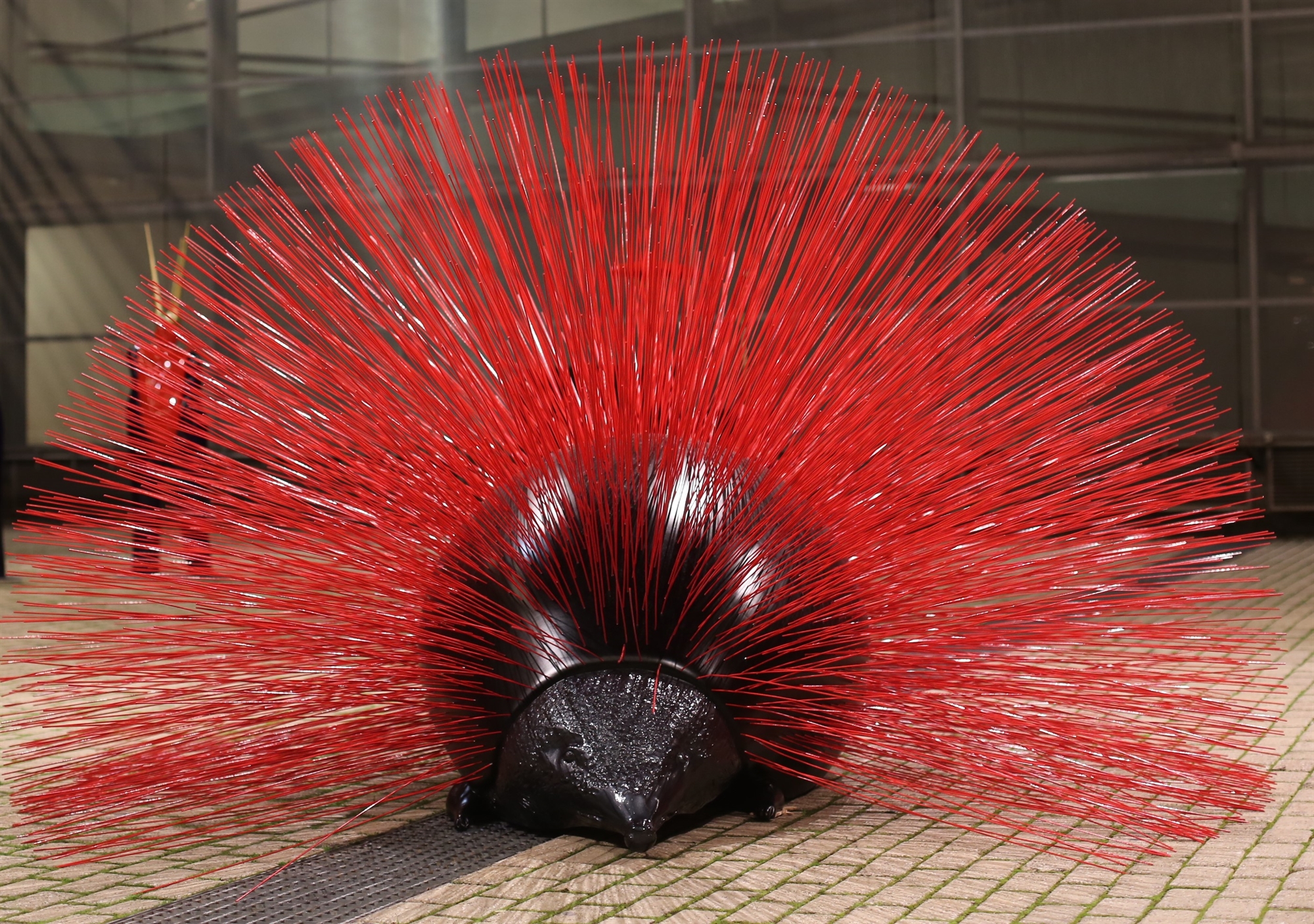 Ο Κ. Γεωργίου στην «Κ»: Το χρώμα είναι ο άρχων που οπλίζει το χέρι μου-3