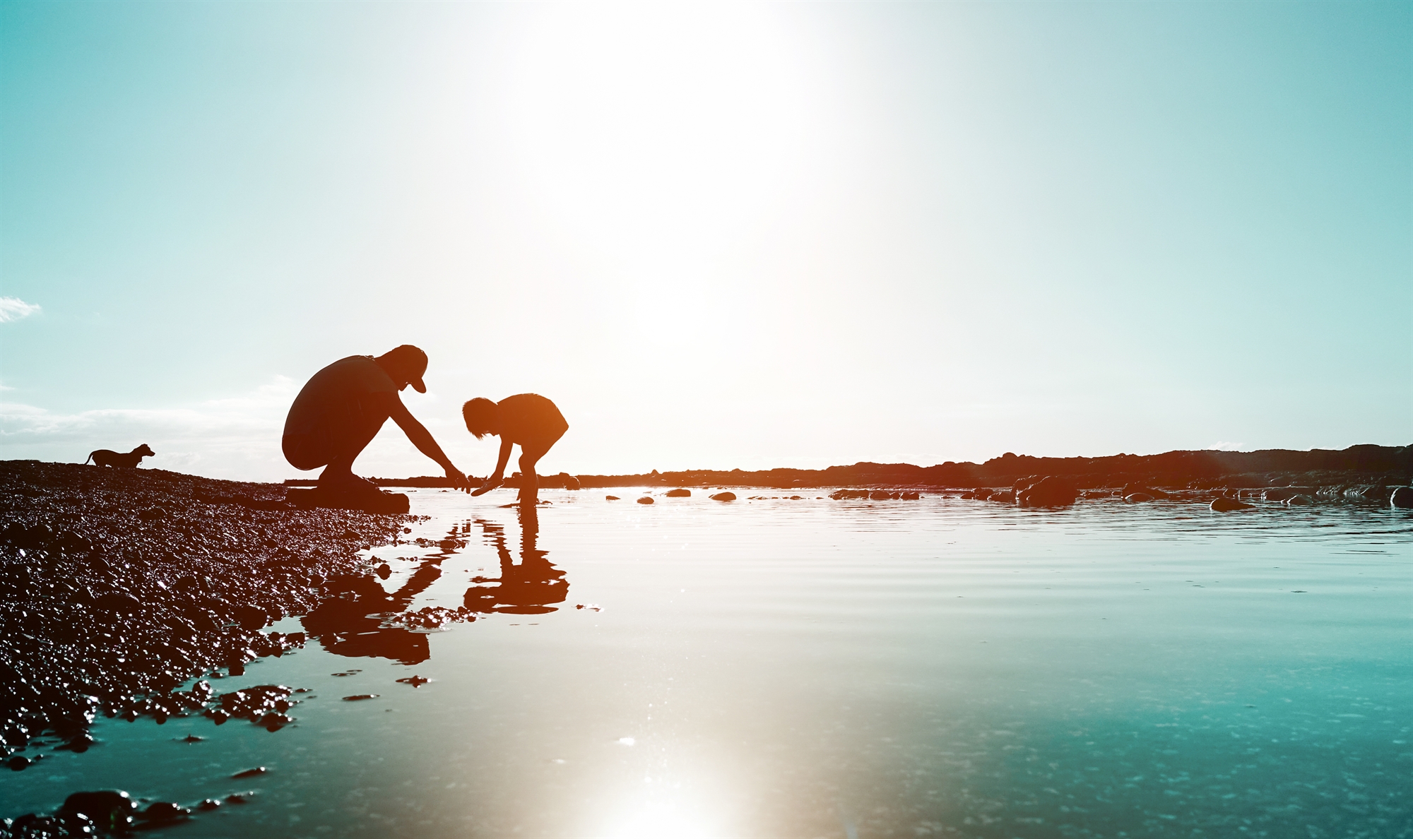 στη-σκιά-μιας-βαριάς-κληρονομιάς-561990073