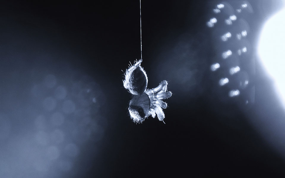 το-ερώτημα-που-μας-κρατά-ξύπνιους-τη-νύ-561993274