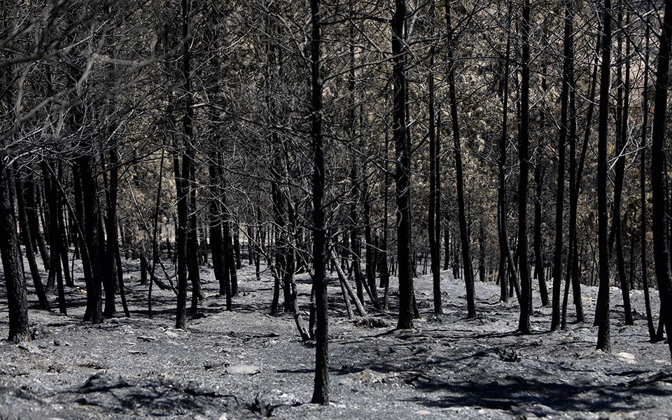 σε-συναγερμό-η-πορτογαλία-μάχη-εναντί-562008115