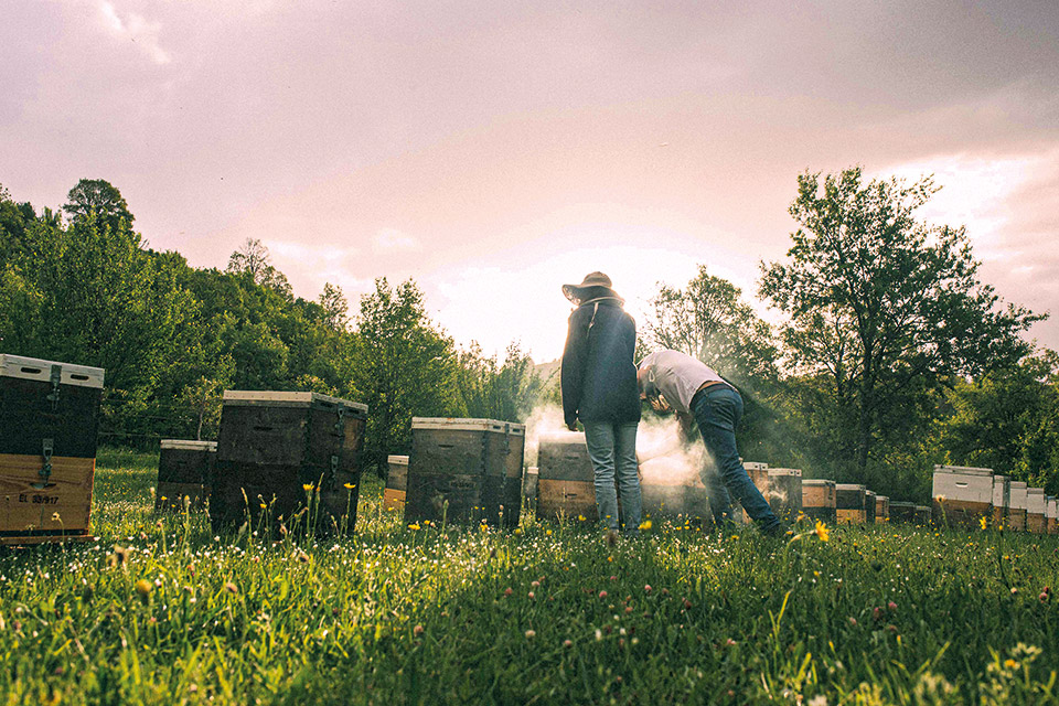 Αυτή είναι η Ήπειρος που καινοτομεί με σεβασμό στη φύση και την παράδοση-3