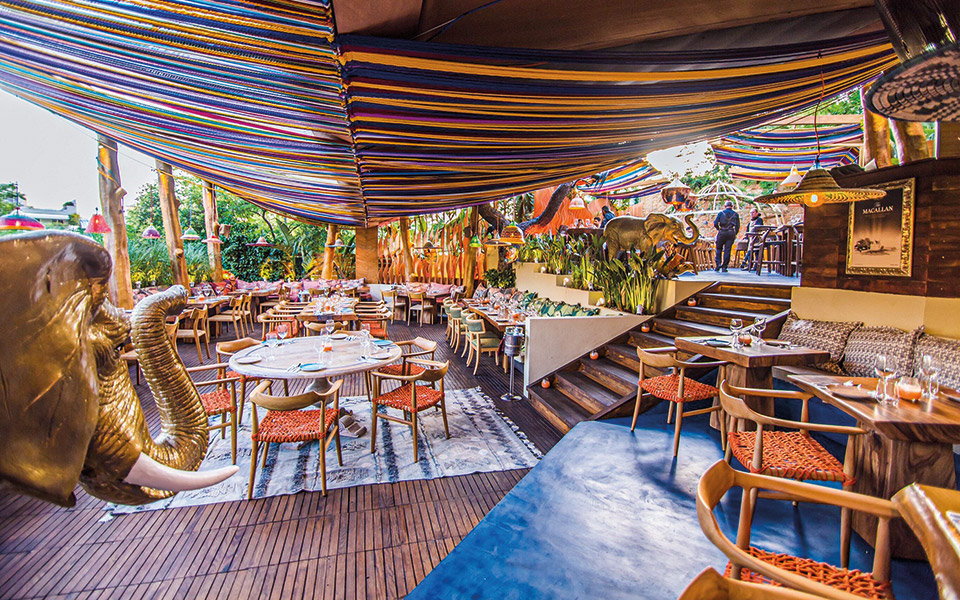 fusion-εξωτισμός-στο-nikkei-561994915