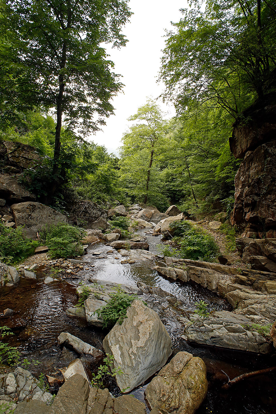 Χαλκιδική: 8+1 λόγοι που «σαν αυτή δεν έχει»-6