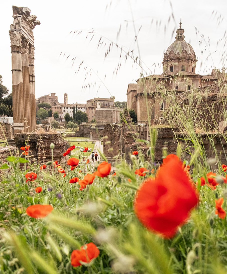 Ρώμη: Κλασικά μνημεία και νέα στέκια μας καλούν-6