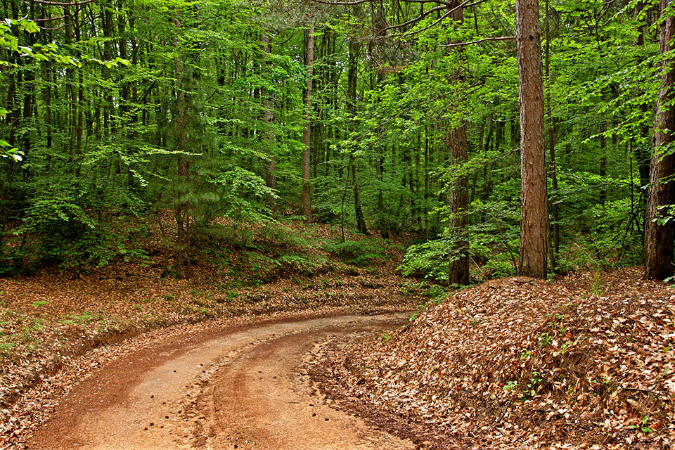 Χαλκιδική: 8+1 λόγοι που «σαν αυτή δεν έχει»-5