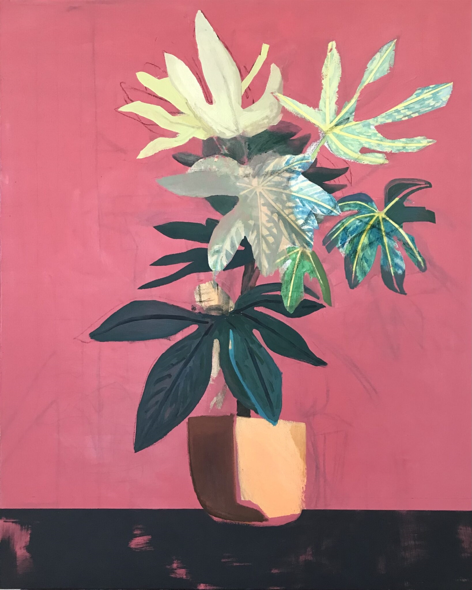 Αντώνης Στάβερης: ζωγραφική ωδή στην τρυφερότητα των φυτών-1