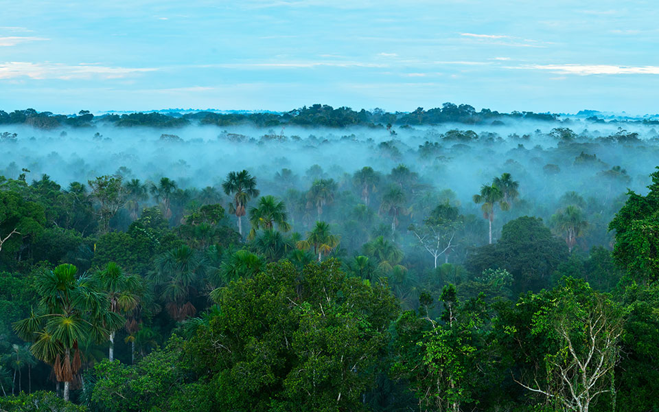 ερμηνεύοντας-το-αναπόφευκτο-του-θανά-561998710