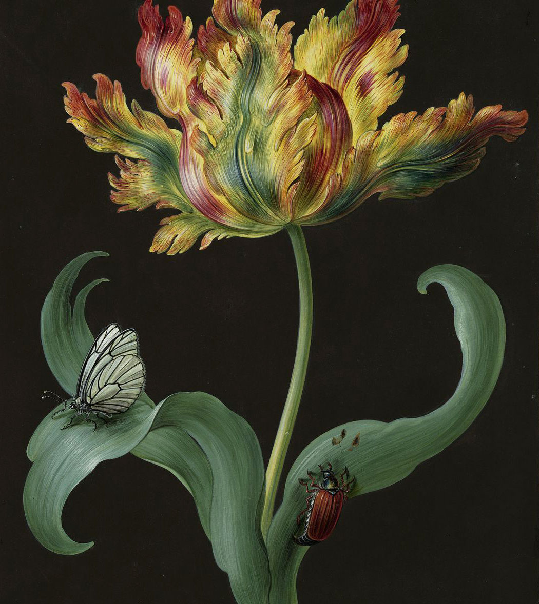 Ο φυσικός κόσμος εμπνέει ξανά-1