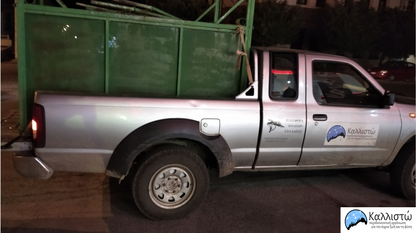 η-αρκούδα-που-αγάπησε-την-καστοριά-561982942