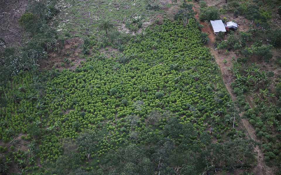 κολομβία-οι-ηπα-επιθυμούν-ανοικτή-κα-561992905