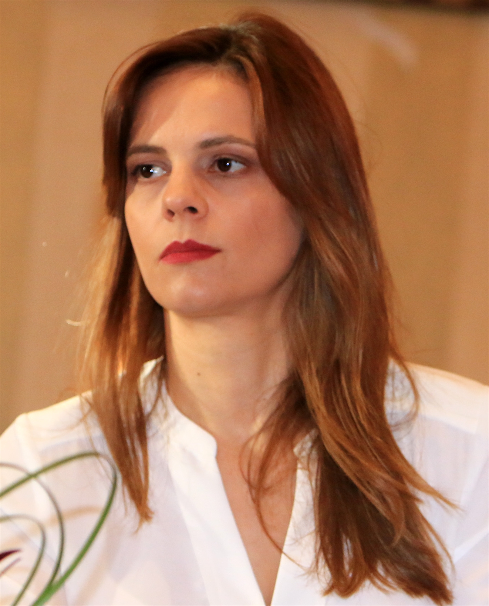 Γυναίκες πολιτικοί: Η λεπτή γραμμή ιδιωτικής και δημόσιας ζωής-3