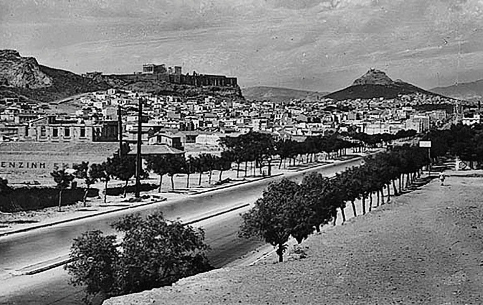 Η νησίδα της Συγγρού γέμισε με Ουασιγκτόνιες. Θα καταφέρουν να μεγαλώσουν;-3