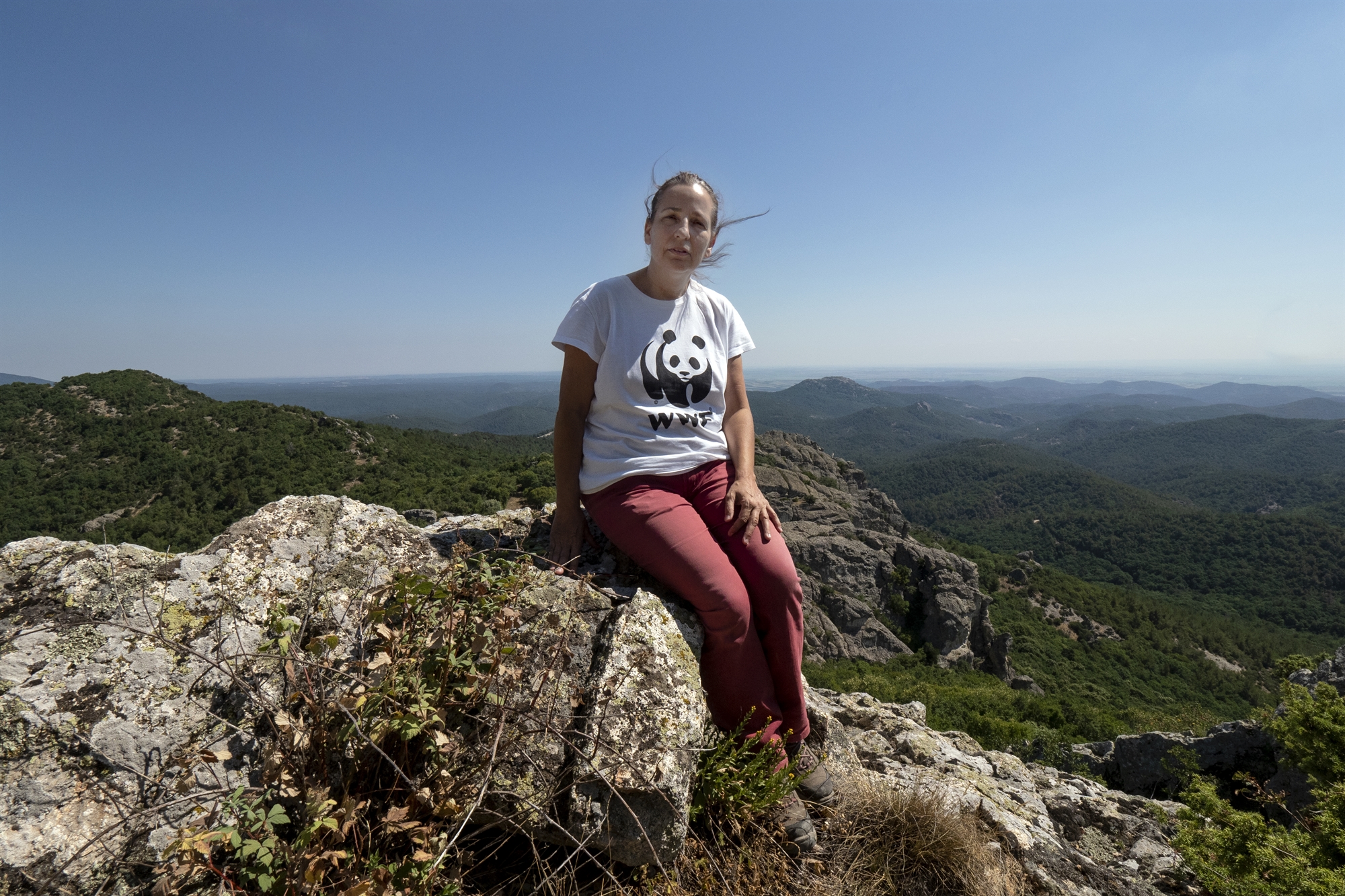 Οδοιπορικό στo πληγωμένo δάσος της Δαδιάς – Πώς σώθηκε ο πυρήνας του-9