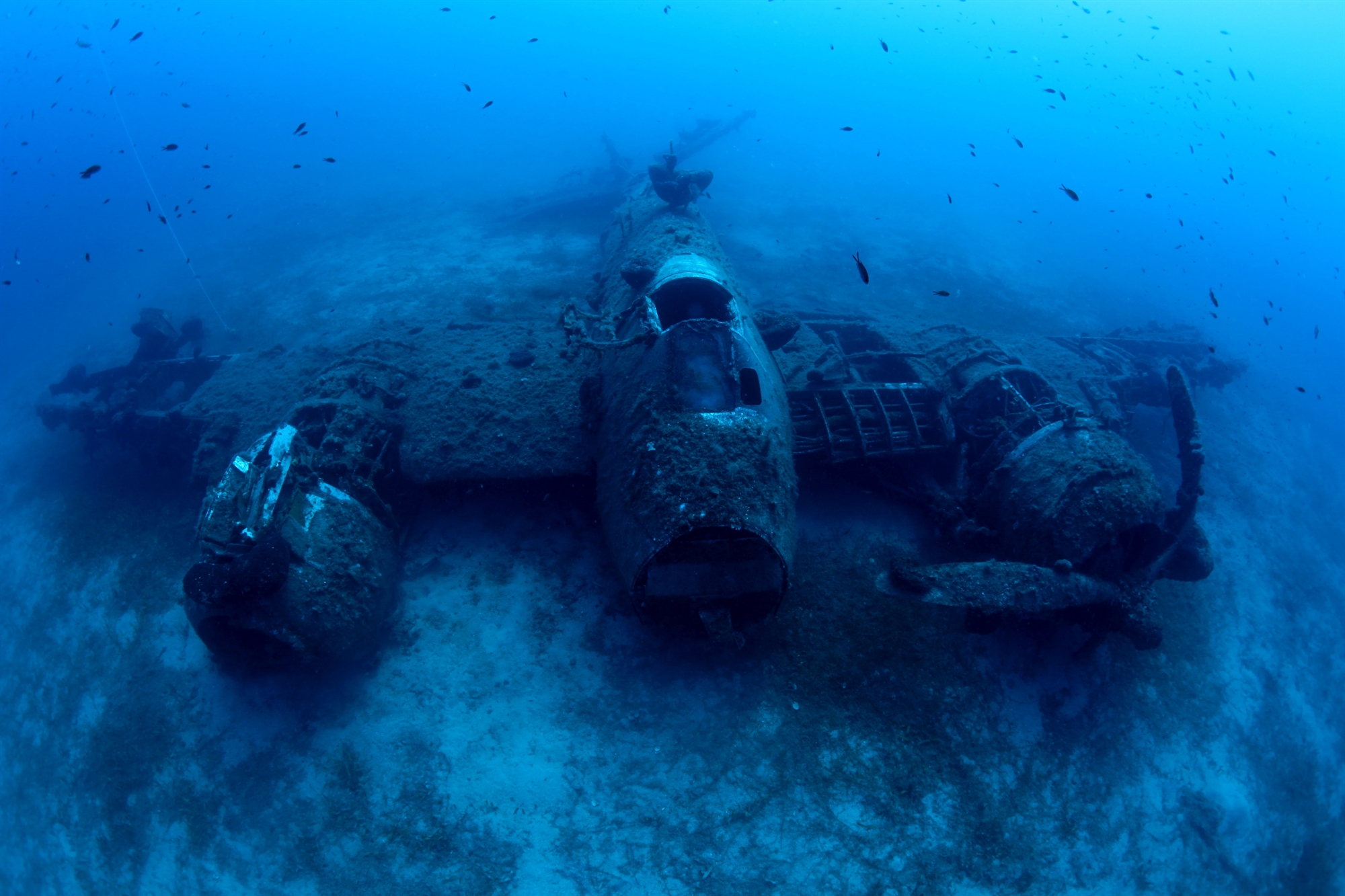 Κ. Θωκταρίδης: Δεν κυνηγώ κουφάρια, αλλά ιστορίες-4